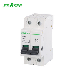 2 Pole Eletircal Double Pole Isolator Switch