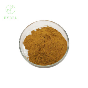 Instant FIG powder Ficus Carica Powder fruit and vegetable  spray drying instant mushroom powders mushroom extract blend