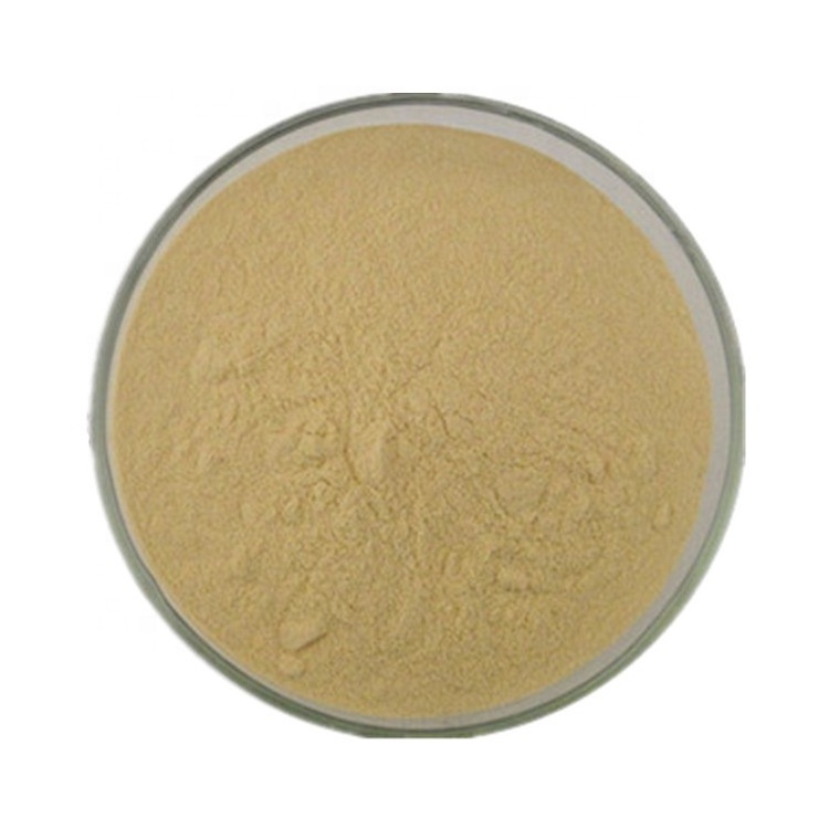 Instant FIG powder Ficus Carica Powder fruit and vegetable  spray drying instant mushroom powders