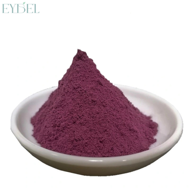 Hot Sale 100% Natural Pigment Black Purple Carrot Juice Concentrate Powder