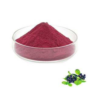 Aronia extract Aronia Berry Extract Powder 99% Water Soluble Aronia Fruit Powder Instant fruit and vegetable powder