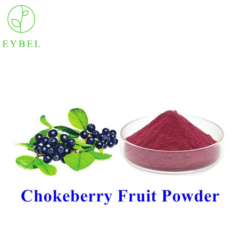 Aronia extract Aronia Berry Extract Powder 99% Water Soluble Aronia Fruit Powder Instant fruit and vegetable powder