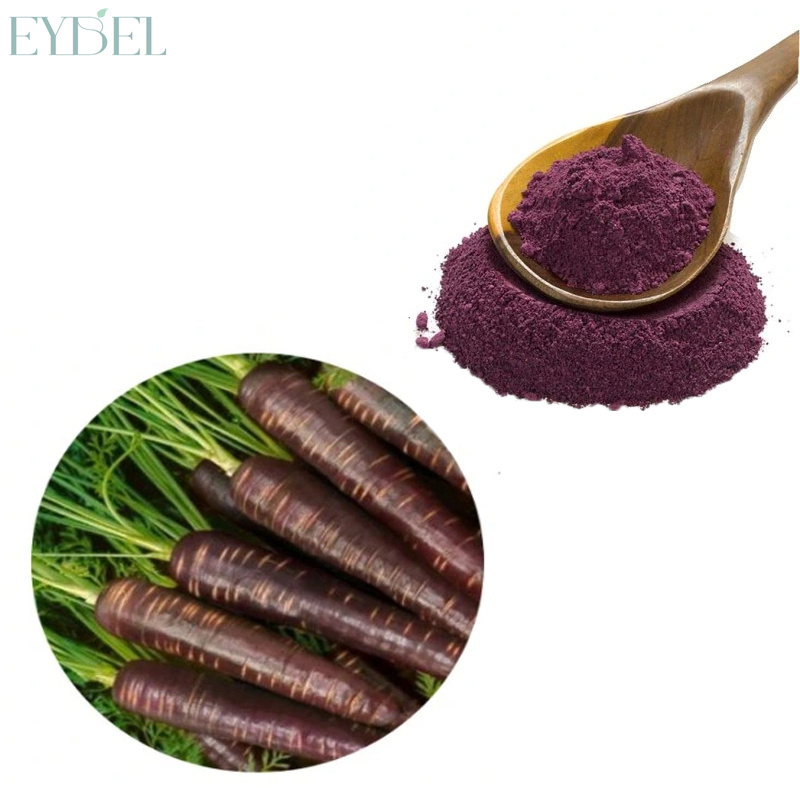 Hot Sale 100% Natural Pigment Black Purple Carrot Juice Concentrate Powder