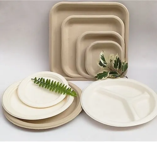 Square Paper Plates 10 Inch Disposable Plates Eco-Friendly Biodegradable Sugarcane Bagasse Packaging Plates For Party Dinner