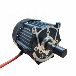 speed 500w-1000W-1500w 48V 60V DC brushless geared go kart differential axle motor for Electric tricycle