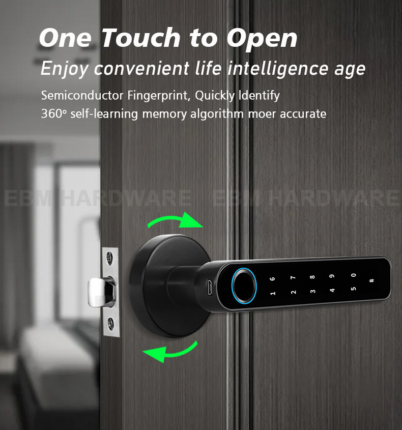 Tuya APP Smart Lock Fingerprint BiometricPassword Single Latch Deadbolt Zinc alloy Door Handle Bedroom Fingerprint Door Lock