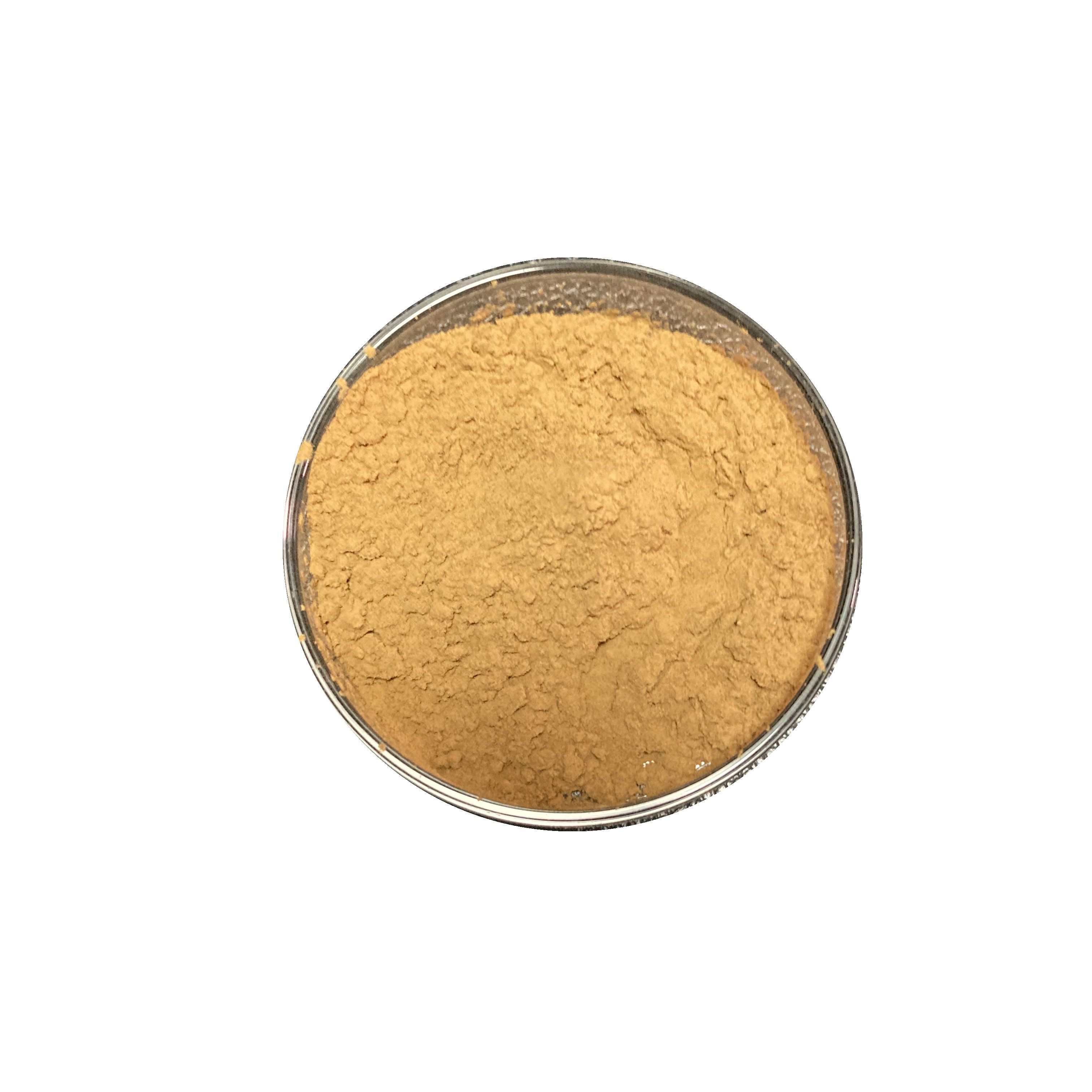 Hypericum Perforatum Extract 0.3% 0.6% Hypericin powder