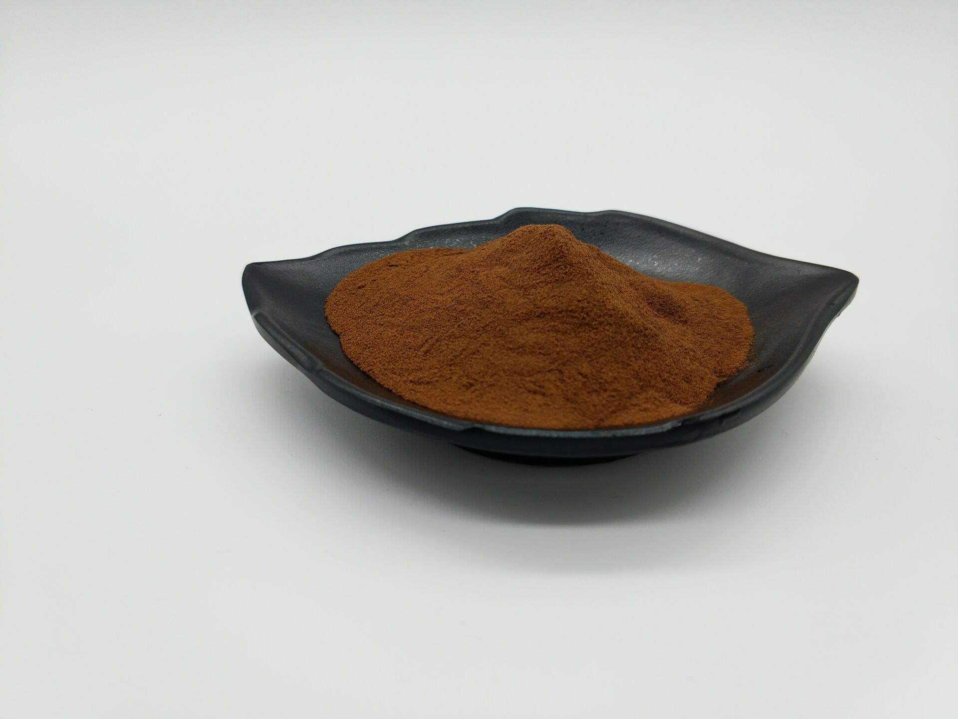 Hot Sale Pine bark extract 10:1 OPC Proanthocyanidin 95% Pine Bark Powder