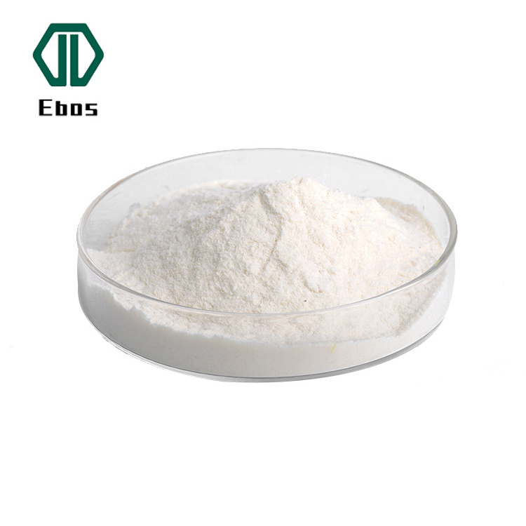 Natural High Quality Omega 3 Powder Raw Linseed Oil Powder Flaxseed Oil Powder