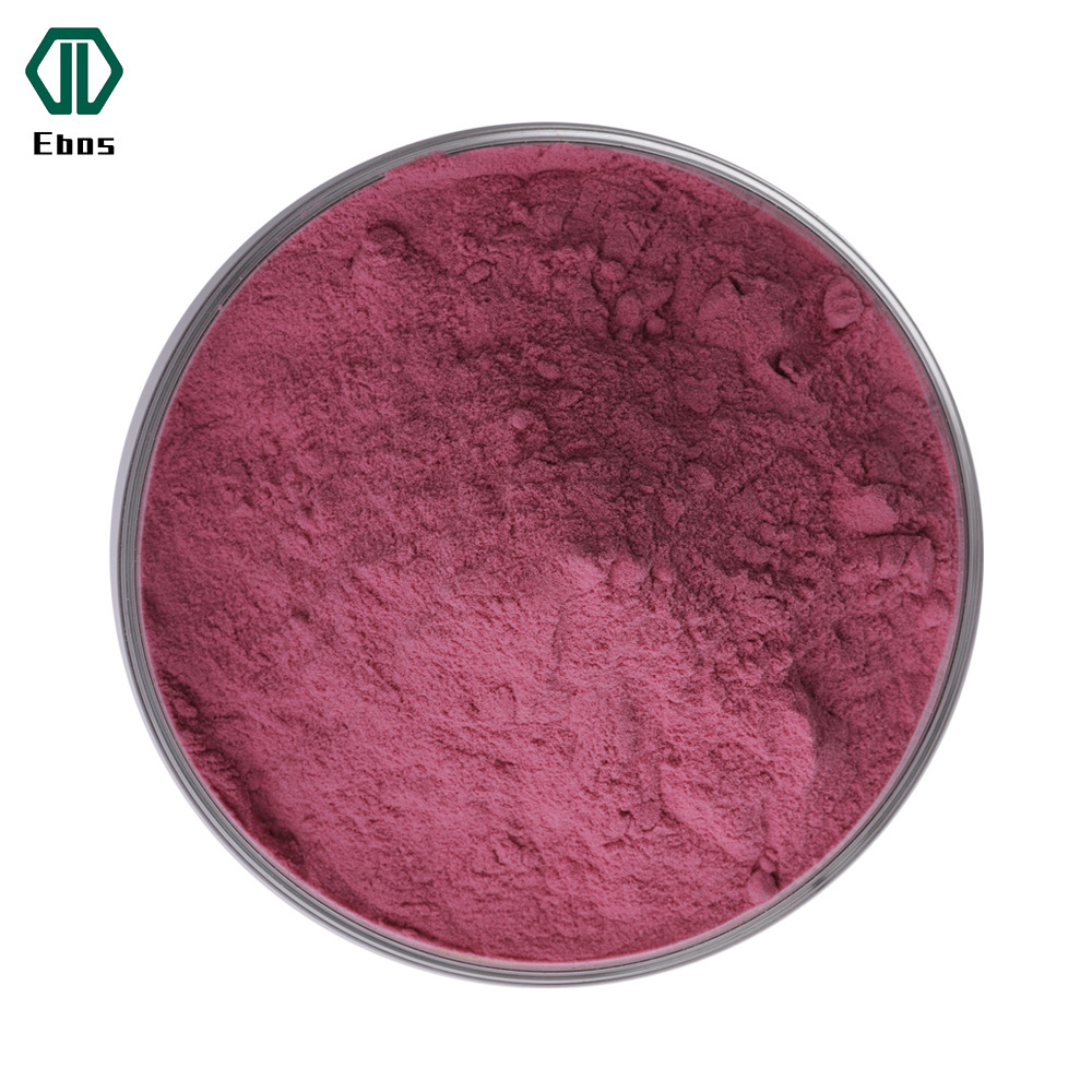 Pure Wild Cherry Berry Powder Aronia Chokeberry Juice Powder Aronia Berry Powder