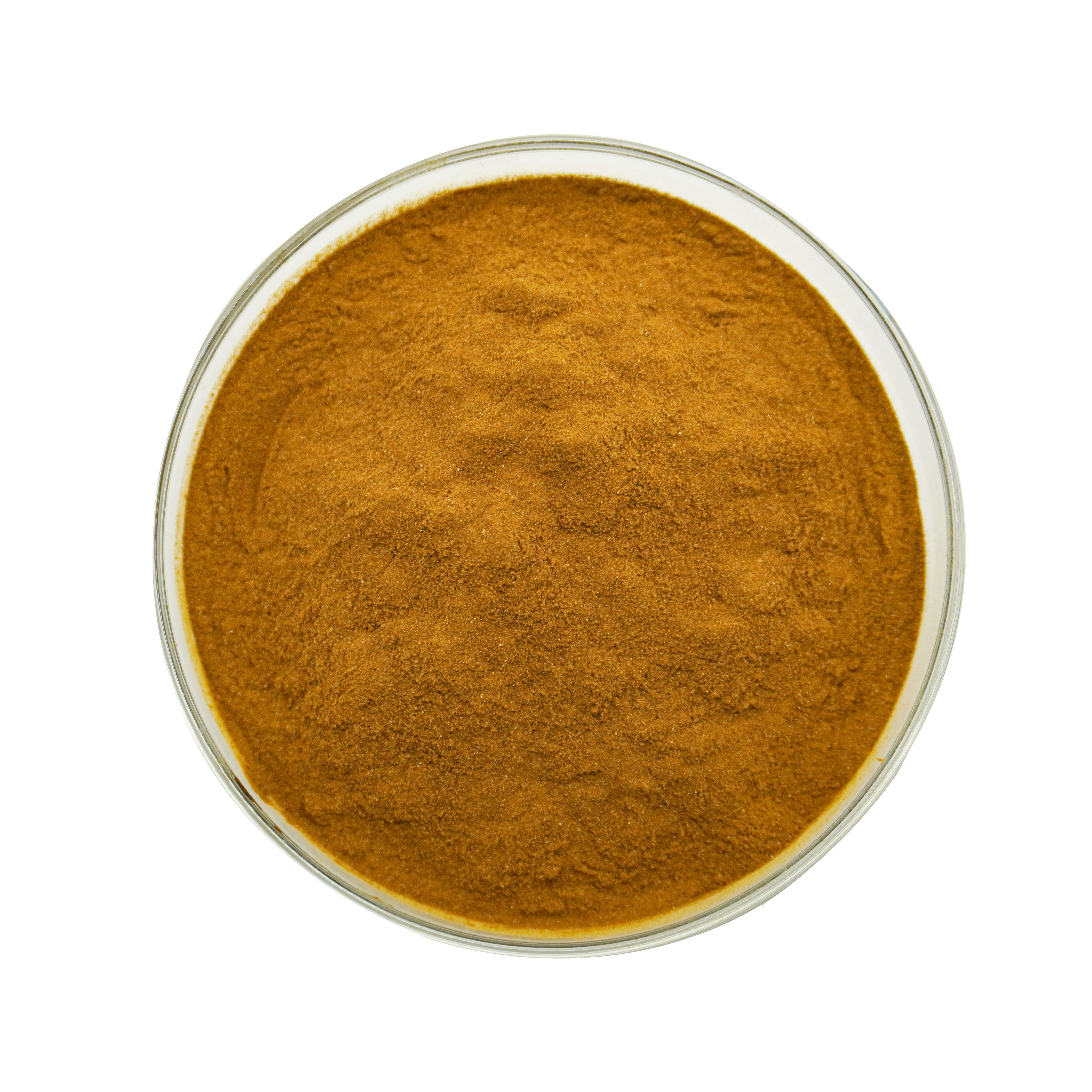 Reliable Supplier Bitter Orange Extract 10:1 20:1 Citrus Aurantium Extract Powder