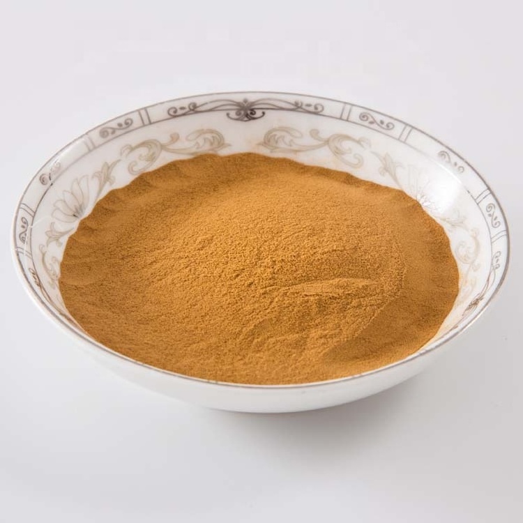 Best Price Lentinan Mushroom Polysaccharide Powder 10%-50% Shiitake Mushroom Extract Powder Polysaccharides