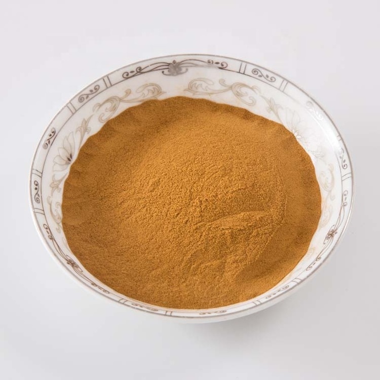 Best Price Lentinan Mushroom Polysaccharide Powder 10%-50% Shiitake Mushroom Extract Powder Polysaccharides