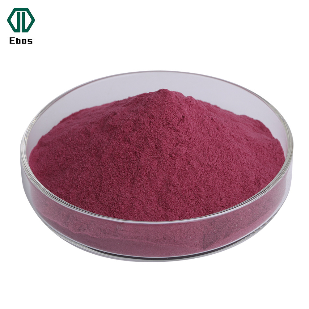 Pure Wild Cherry Berry Powder Aronia Chokeberry Juice Powder Aronia Berry Powder