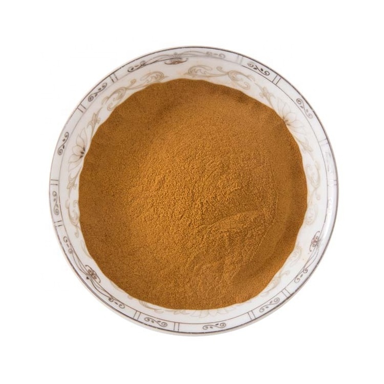 Best Price Lentinan Mushroom Polysaccharide Powder 10%-50% Shiitake Mushroom Extract Powder Polysaccharides