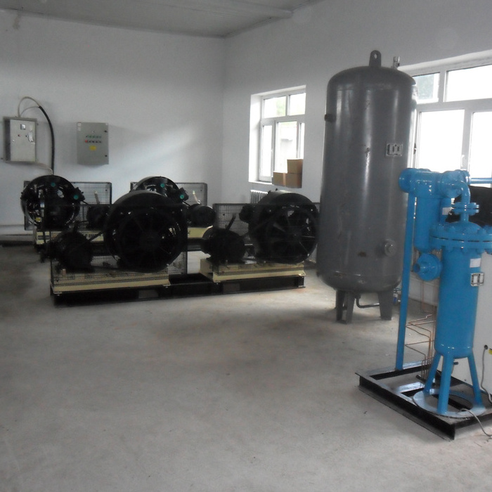 High pressure piston 30bar natural air compressor with tank