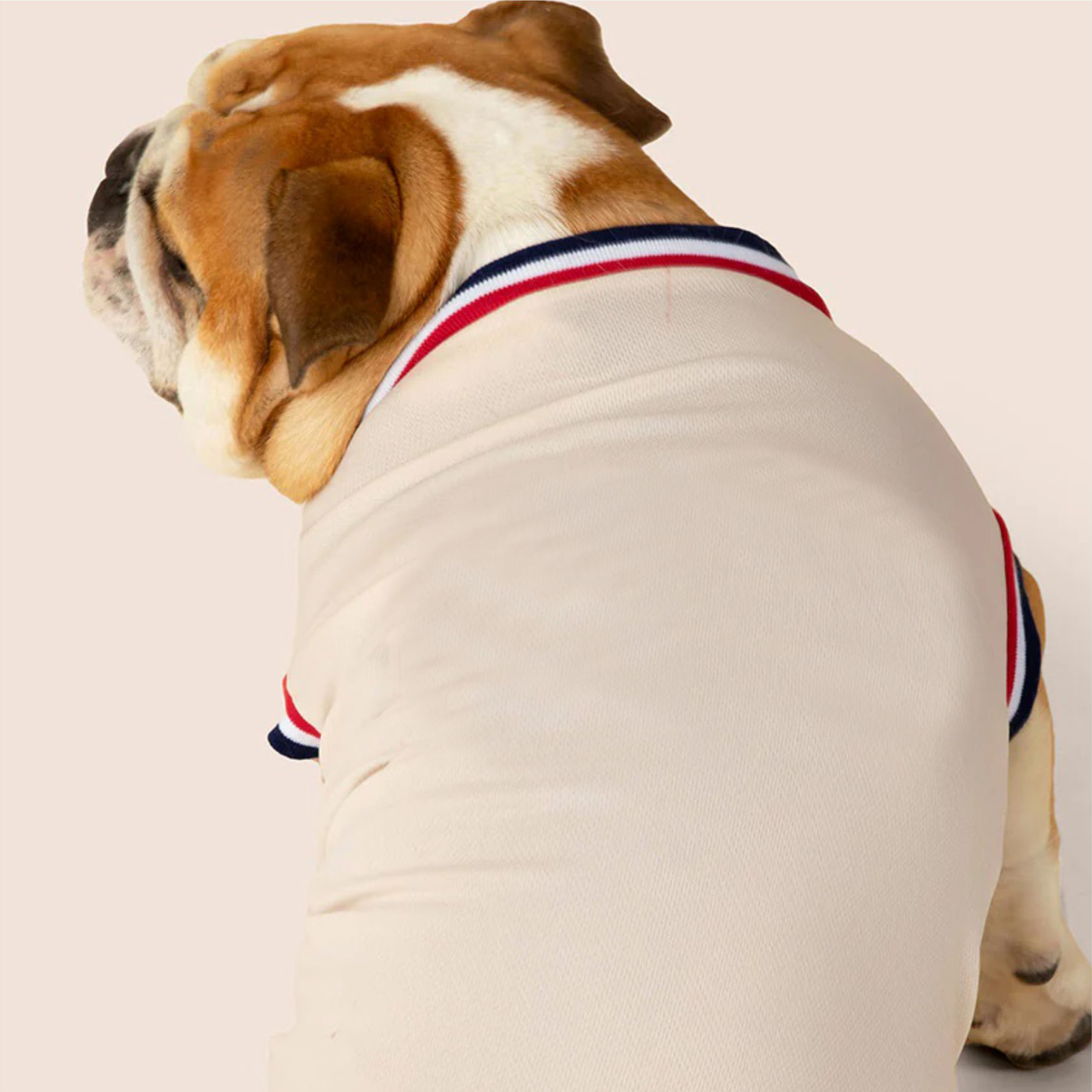 High-Quality Dog Jersey Customizable Pet Clothing Comfortable and Stylish Sportswear for Dogs All Sizes Available  Wholesale