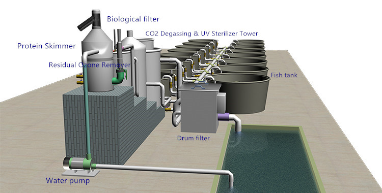 RAS indoor fish shrimp farming equipment/ recirculating aquaculture system equipment