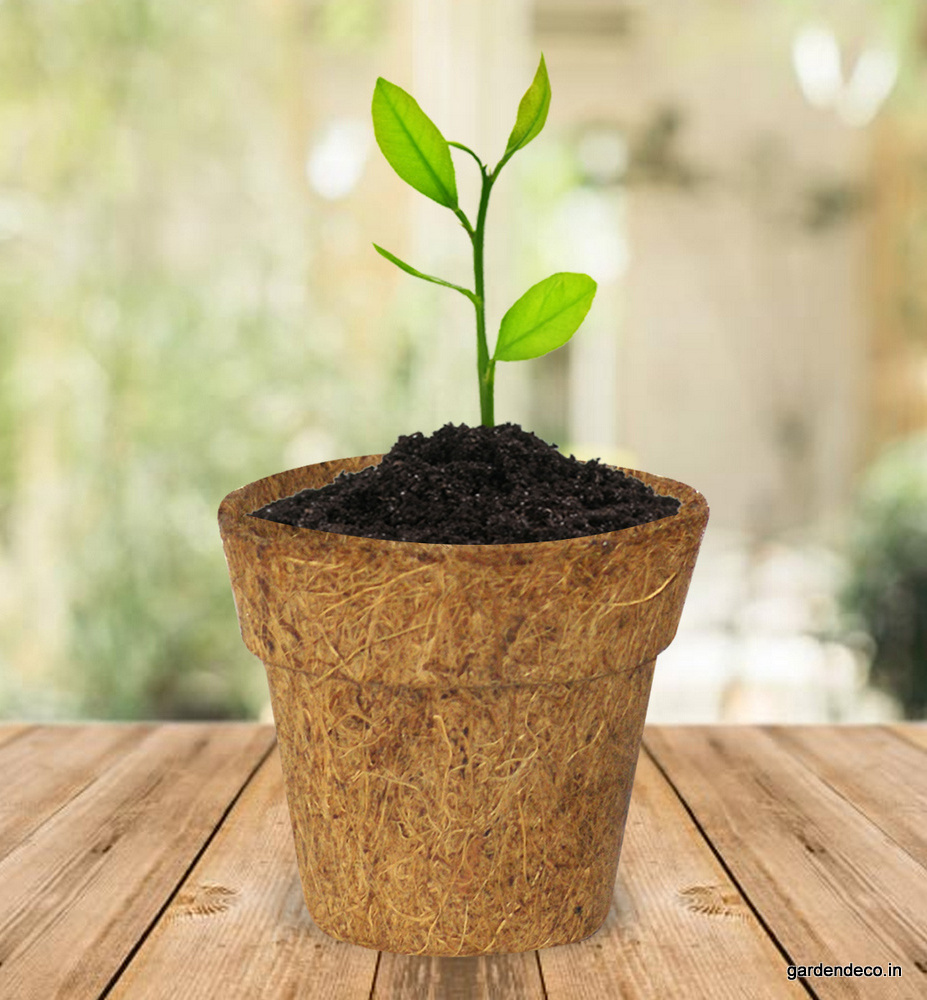 Biodegradable Coconut Fiber Pot/ Coconut Plant Flower Pot With High Quality And Good Price In Vietnam