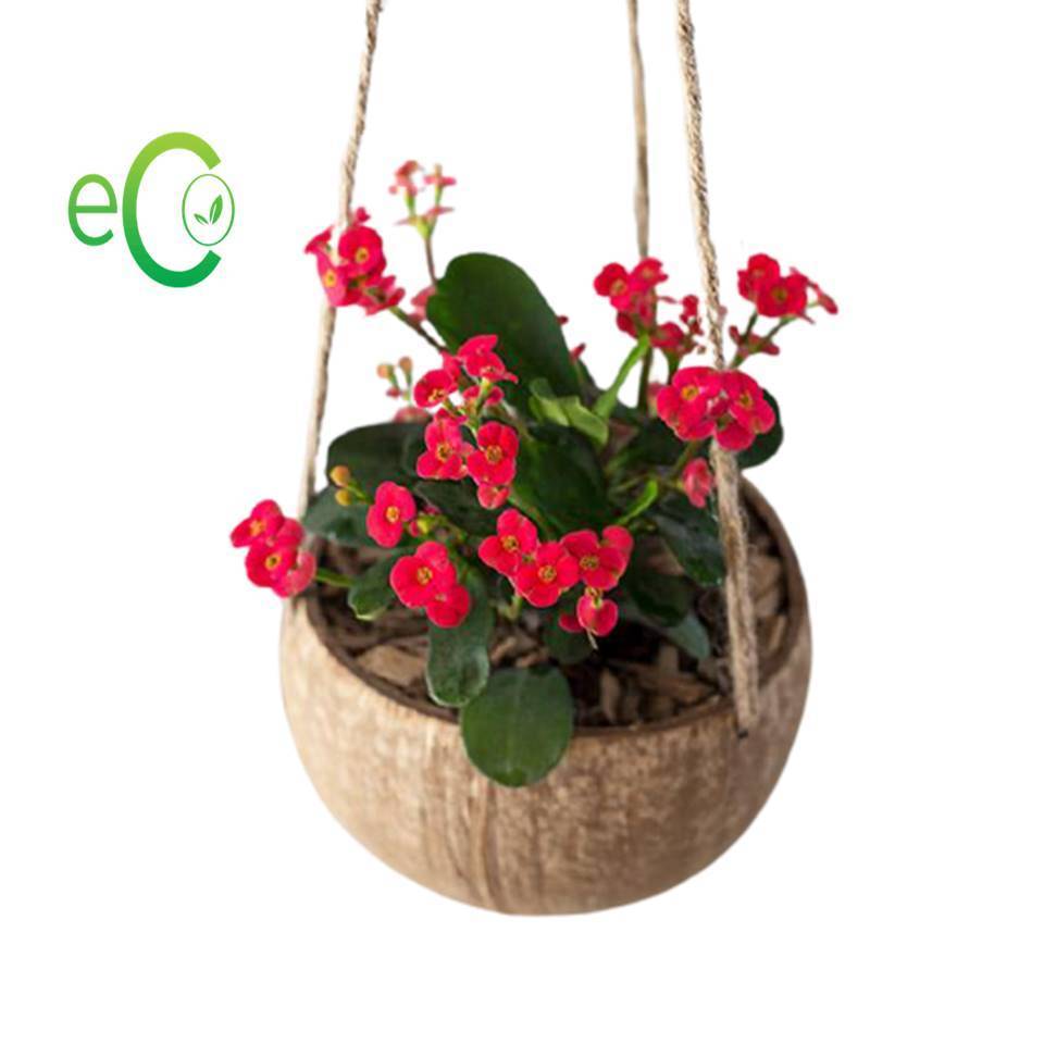 Cheapest Price High Quality Coconut Shell Plant Pot/ coconut shell hanger pot/ coconut shell bowls and custom logo