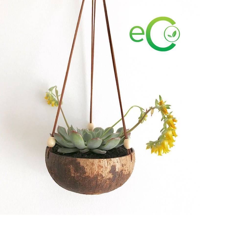 Cheapest Price High Quality Coconut Shell Plant Pot/ coconut shell hanger pot/ coconut shell bowls and custom logo