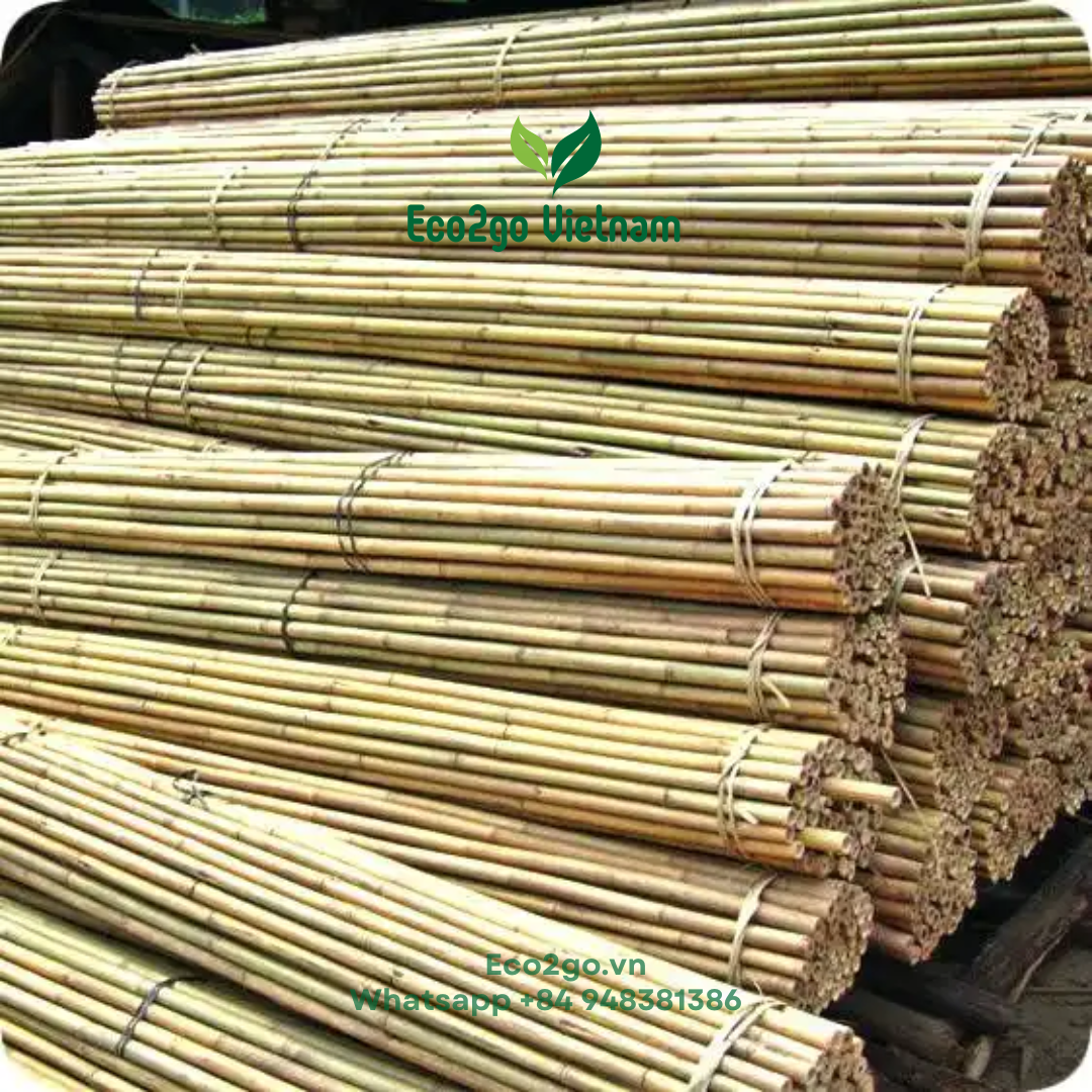 100% Nature Dry Straight Rattan Bamboo Pole For wholesale/Bamboo Pole Material For Garden/ Bamboo poles for tomatoes