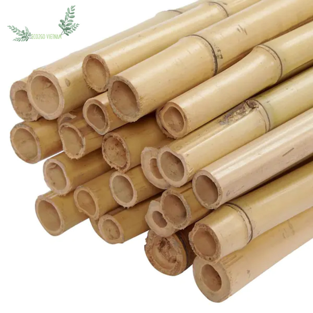 Hot Seller and Hot Trending 2024 Natural Raw Bamboo Stake/ Bamboo Cane/ Bamboo Pole With High Quality From Vietnam