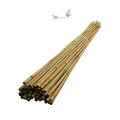 Hot Seller! Hot Trending! Bamboo Stick For Plant/ Strong Heavy Duty Professional Bamboo Plant Support Bamboo Canes/stakes/pole