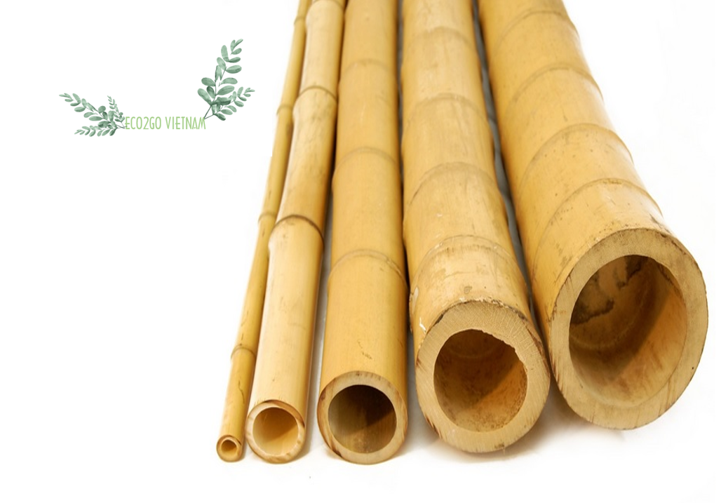 Hot Seller and Hot Trending 2024 Natural Raw Bamboo Stake/ Bamboo Cane/ Bamboo Pole With High Quality From Vietnam