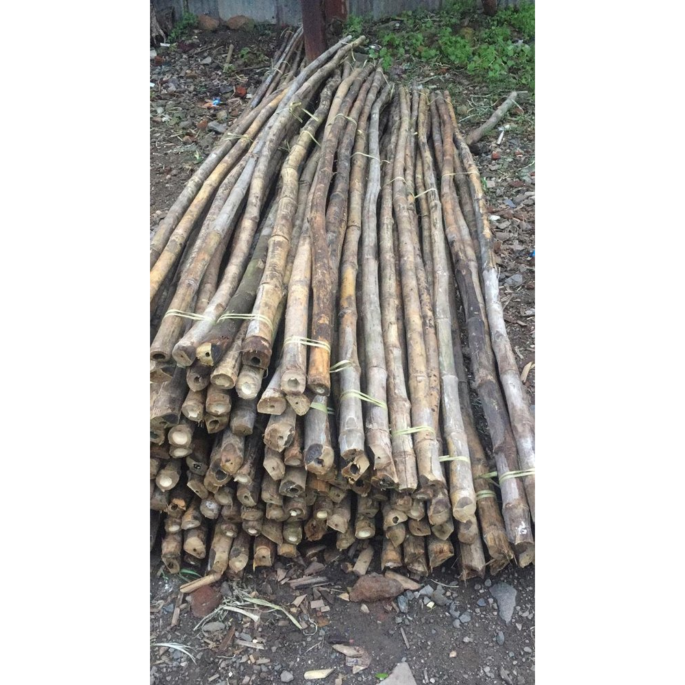 Hot Seller! Hot Trending! Bamboo Stick For Plant/ Strong Heavy Duty Professional Bamboo Plant Support Bamboo Canes/stakes/pole