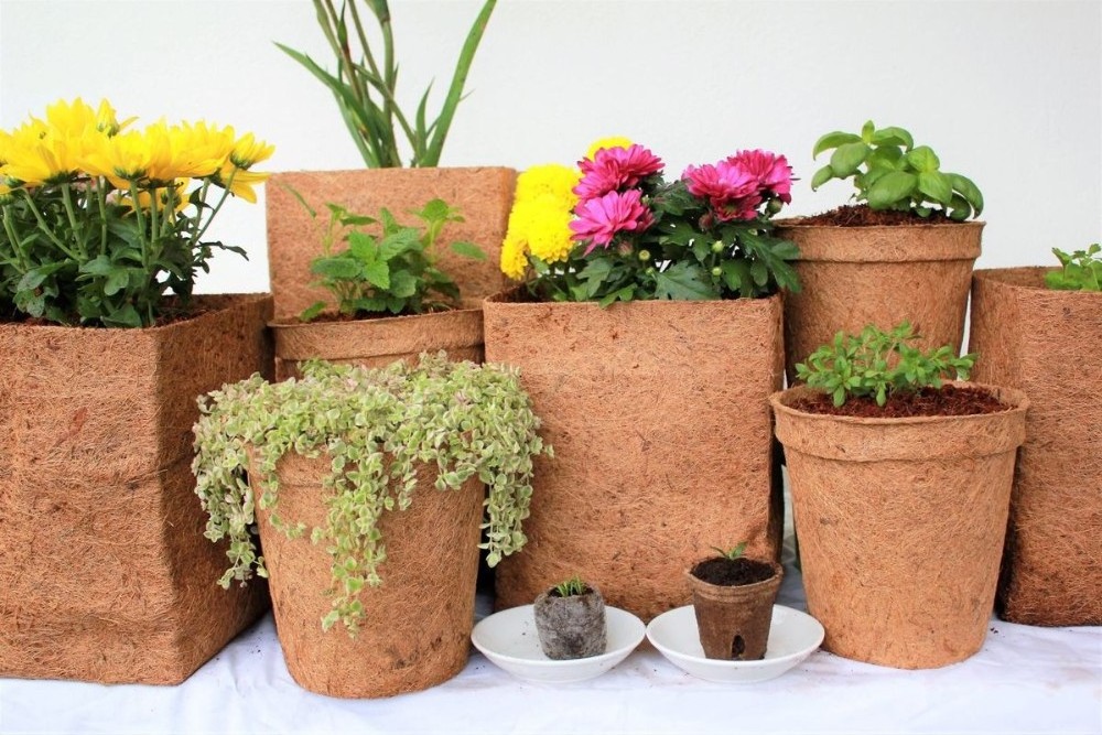 Hot Trending 2023 Agriculture Natural Coconut fiber pot/ Coconut fiber coir plant pot for planting decorating your garden