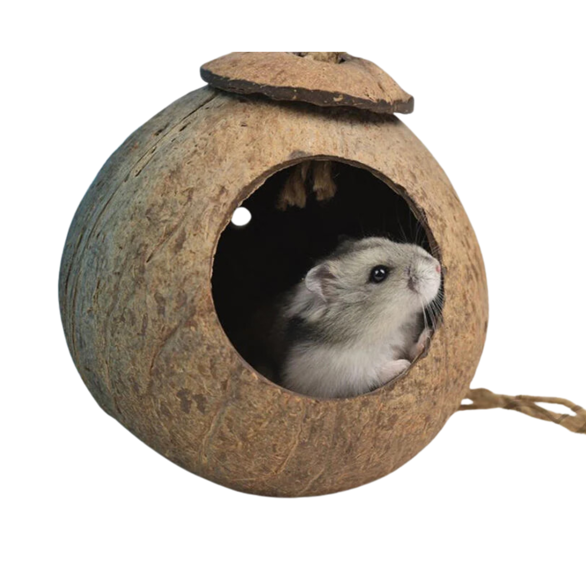 Customized Logo And Design Coconut Shell Pet Cage/Cheapest Coconut Shell Coconut Bird Hamster House/ Natural Coconut Pet House