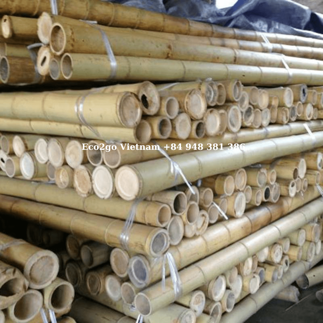 Eco Friendly Biodegradable Bamboo Poles/ Bamboo Poles For Sale/ Bamboo Poles Cheap Made In Vietnam