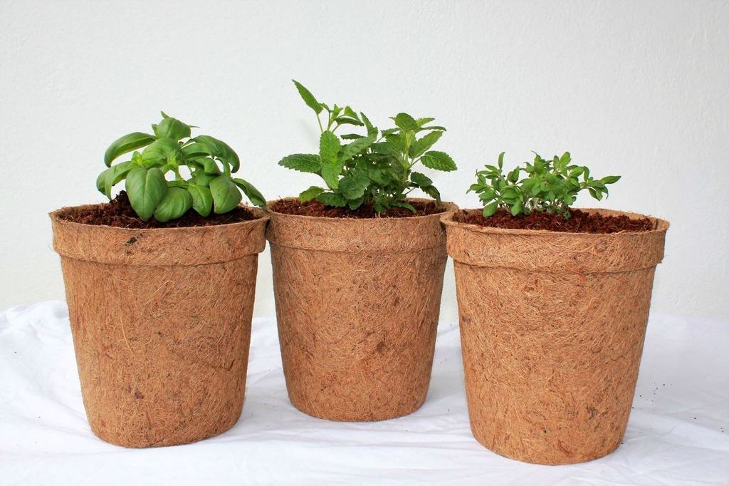 Biodegradable Coconut Fiber Pot/ Coconut Plant Flower Pot With High Quality And Good Price In Vietnam