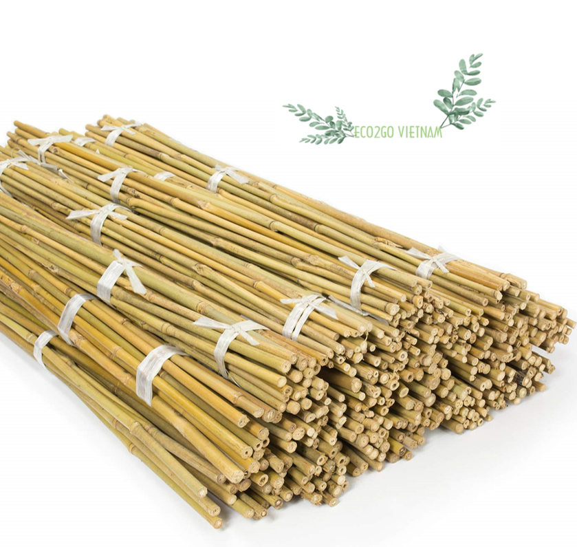 Diversity Usage Bamboo Sticks For Kites/ Bamboo Sticks For Plants Made Of 100% High Quality Natural But Good Price From Eco2go