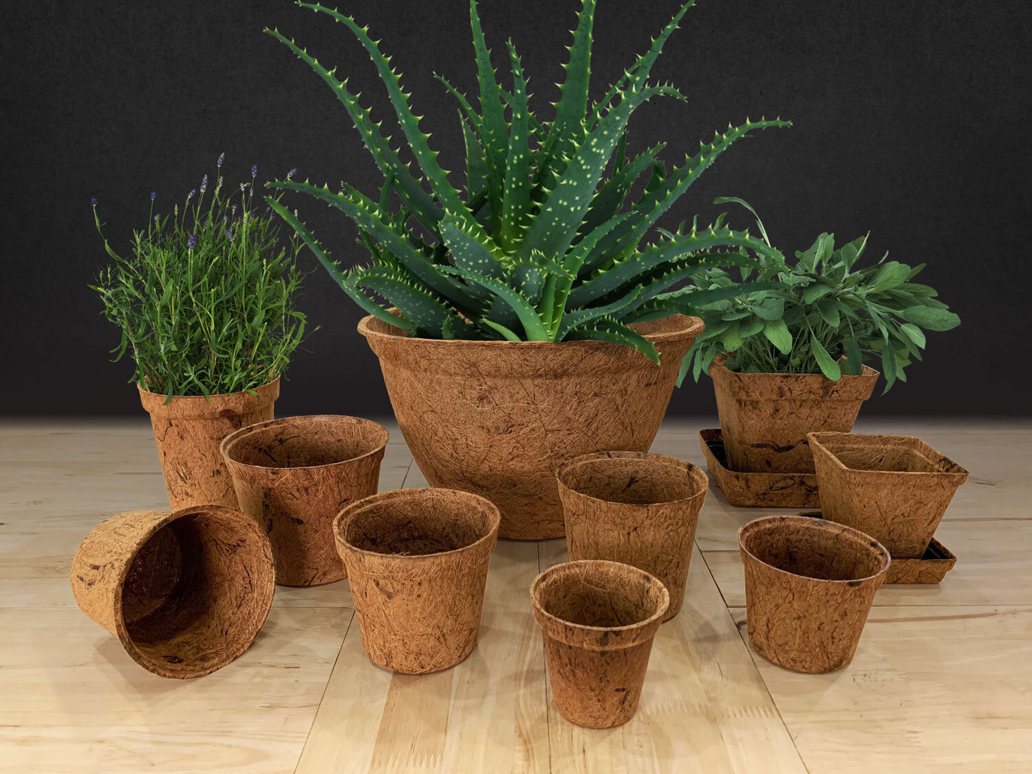 Hot Trending 2023 Agriculture Natural Coconut fiber pot/ Coconut fiber coir plant pot for planting decorating your garden