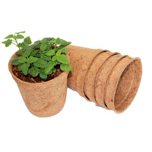 Hot Trending 2023 Agriculture Natural Coconut fiber pot/ Coconut fiber coir plant pot for planting decorating your garden