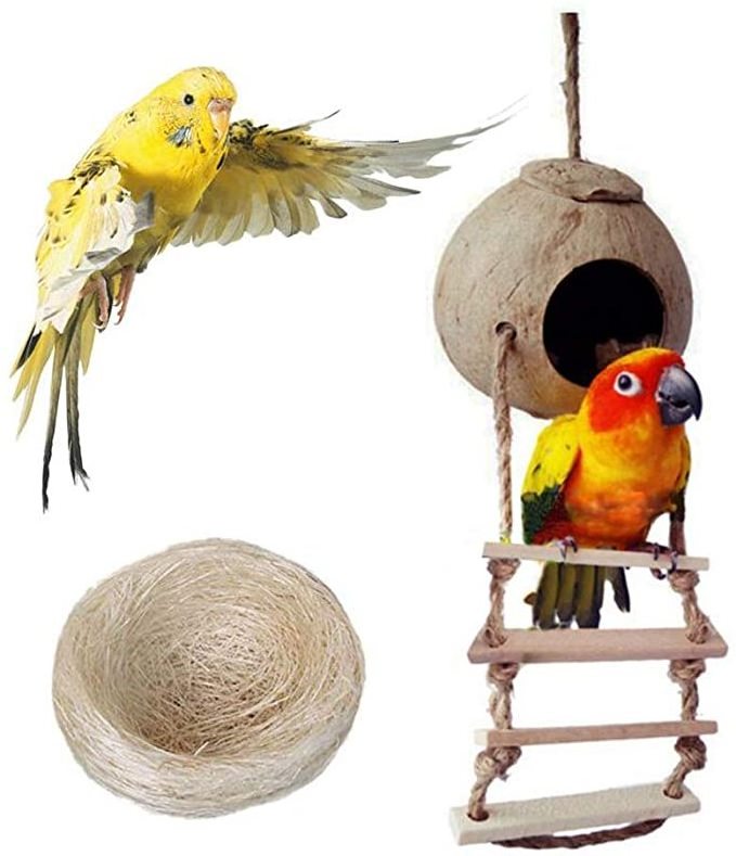 Biodegradable Coconut Bird House/ Coconut Bird Nest House/ Bird Coconut House With High Quality In Vietnam