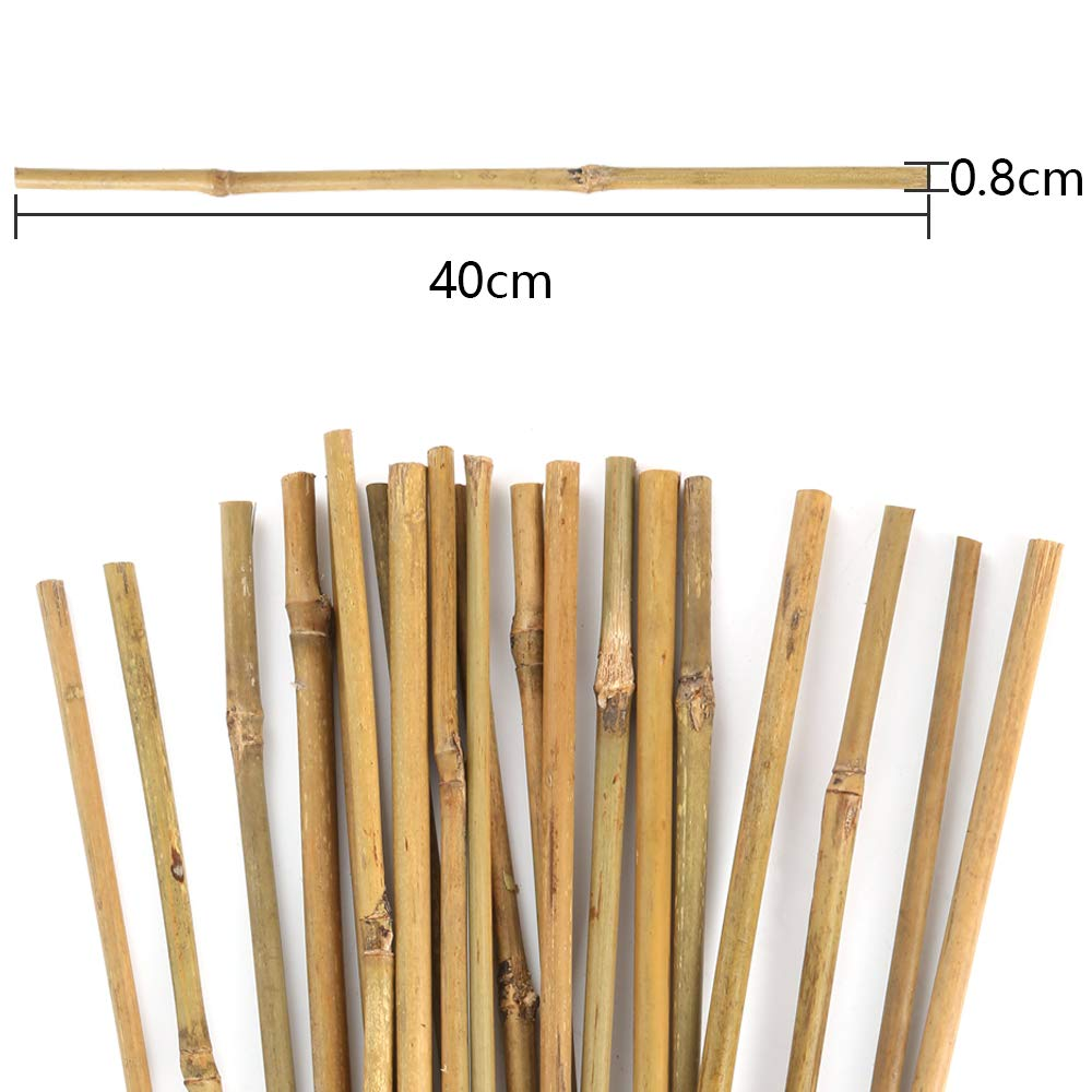 Diversity Usage Bamboo Sticks For Kites/ Bamboo Sticks For Plants Made Of 100% High Quality Natural But Good Price From Eco2go