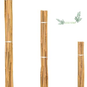 100% Nature Dry Straight Rattan Bamboo Pole For wholesale/Bamboo Pole Material For Garden/ Bamboo poles for tomatoes