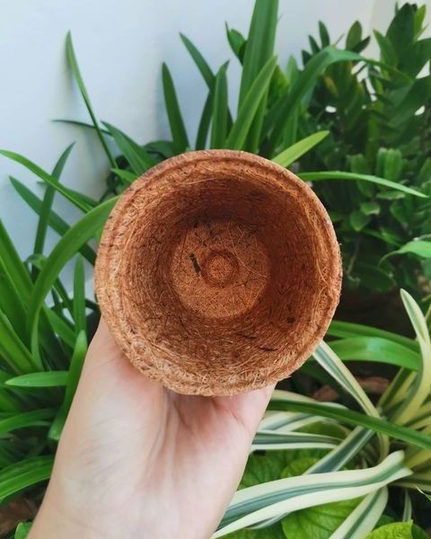 Cheap price bulk coconut fiber plant pot/Natural and organic coco coir for plant pot made by Eco2go Vietnam