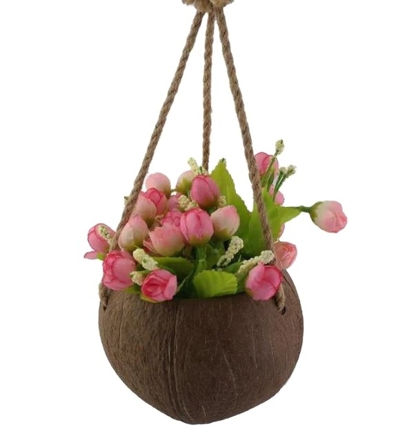 New Pure Organic Coconut Shell Plant Pot/ Coconut Shell Planter Pot With Hanging With Laser Logo Export by Eco2go