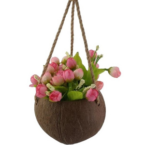 New Pure Organic Coconut Shell Plant Pot/ Coconut Shell Planter Pot With Hanging With Laser Logo Export by Eco2go