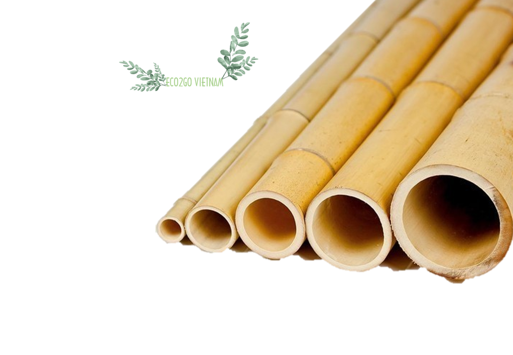 Sustainable and Natural Bamboo Poles For Construction Vietnam With High Quality For Using at Construction, Agriculture