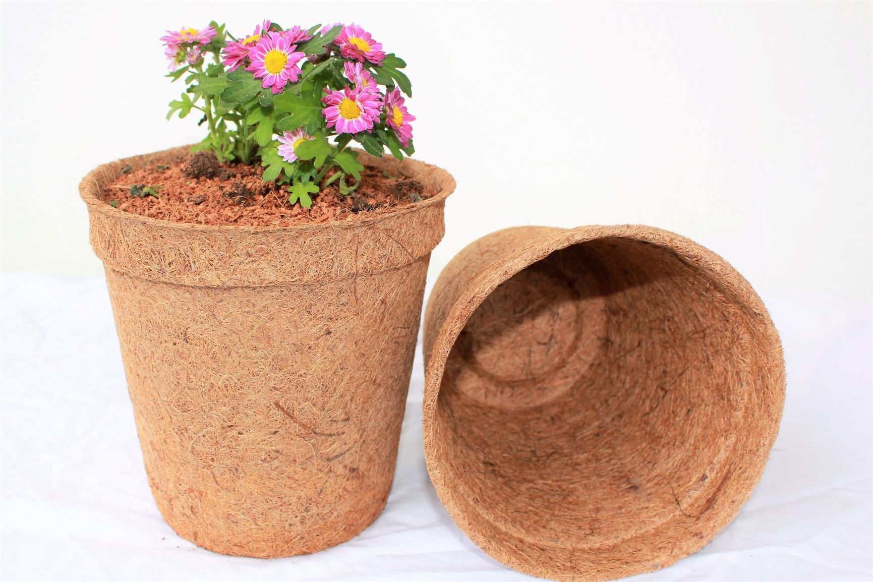 Biodegradable Coconut Fiber Pot/ Coconut Plant Flower Pot With High Quality And Good Price In Vietnam