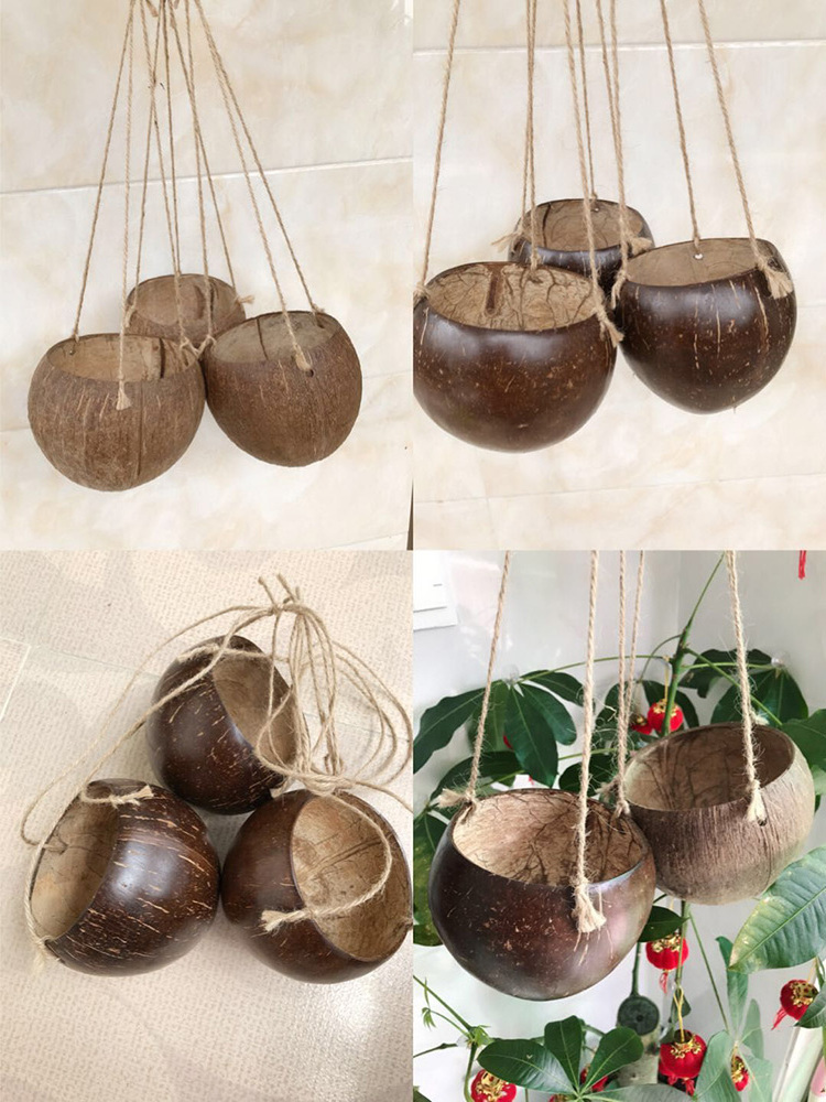 New Pure Organic Coconut Shell Plant Pot/ Coconut Shell Planter Pot With Hanging With Laser Logo Export by Eco2go