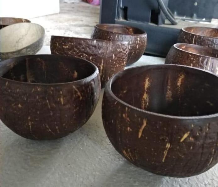 Cheap Price Bulk Natural Coconut Shell Bowl/ Shell Bowl Coconut With Customized Design and Engraved logo