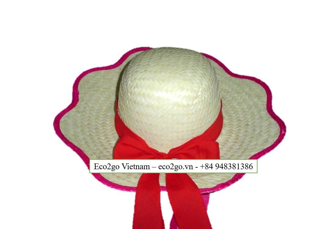 Fashion New Wide Brim Beach Straws Hat/ Straws Hat Panama/ Straws Hat With Many Color, Design