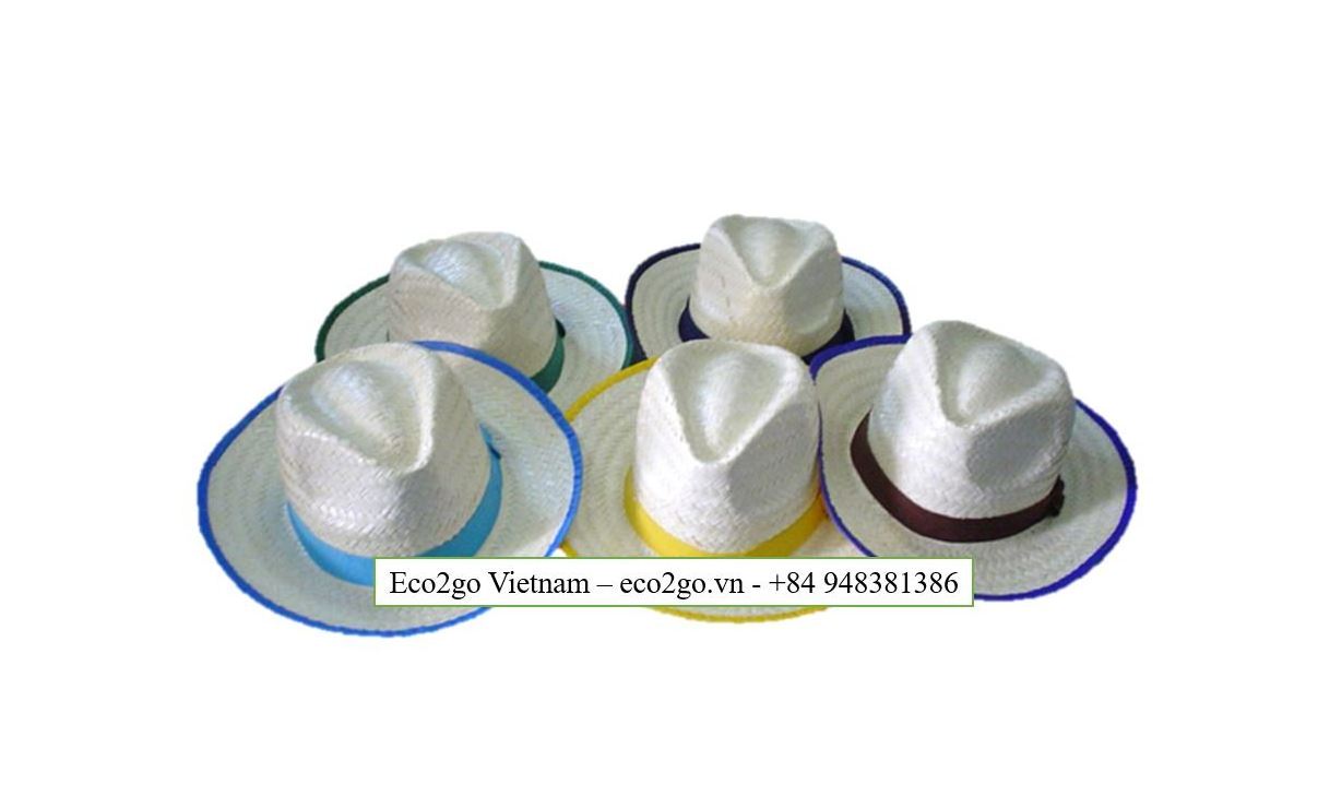 Fashion New Wide Brim Beach Straws Hat/ Straws Hat Panama/ Straws Hat With Many Color, Design