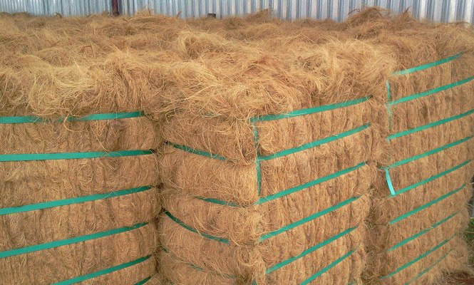 Export Of Coconut Fiber/ Coconut Fiber Wholesale Cheapest Price And High Quality Made In Vietnam